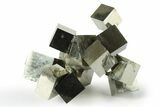 Shiny, Natural Pyrite Cube Cluster - Navajun, Spain #244995-1